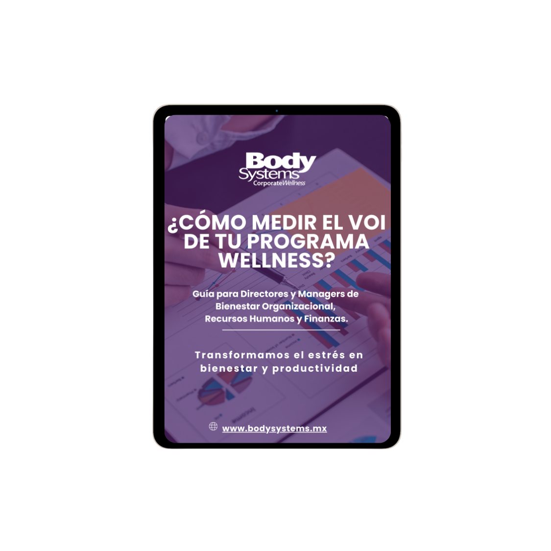 ¿Cómo medir el VOI de tu Programa de Wellness Corporativo?